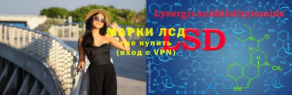 гидра Богородицк