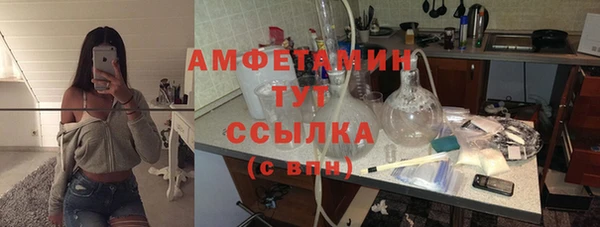гидра Богородицк