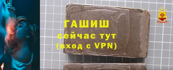 гидра Богородицк