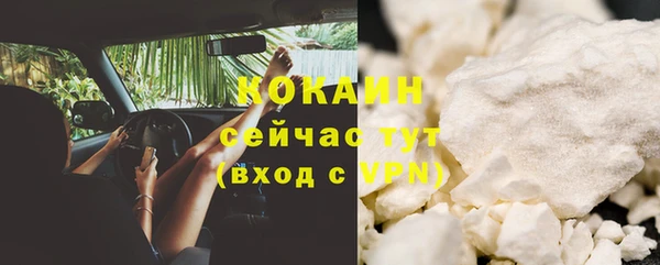 гидра Богородицк
