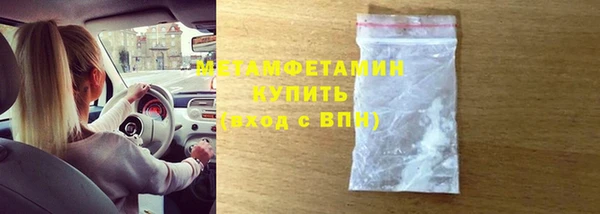 гидра Богородицк