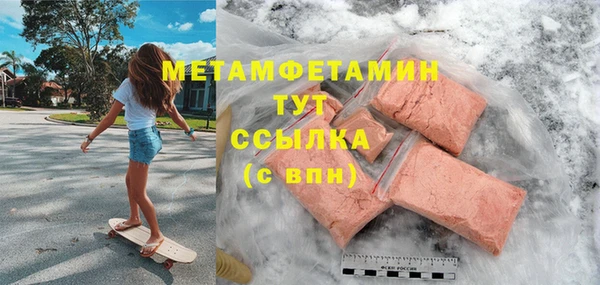 гидра Богородицк