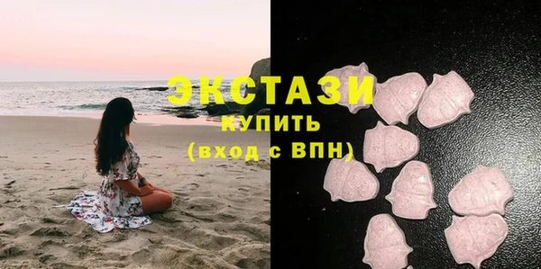 гидра Богородицк