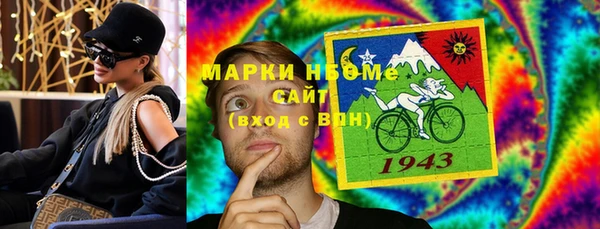 гидра Богородицк