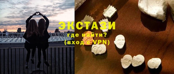 гидра Богородицк