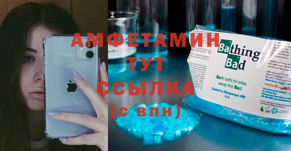 гидра Богородицк