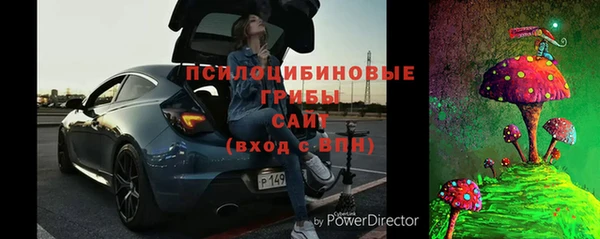 гидра Богородицк