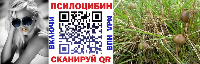 Галлюциногенные грибы ЛСД Светлый